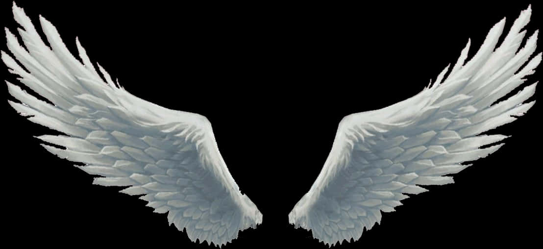 Angel Wings Spread Black Background