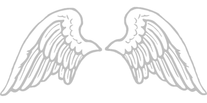 Angel Wings Vector Art PNG with transparent background