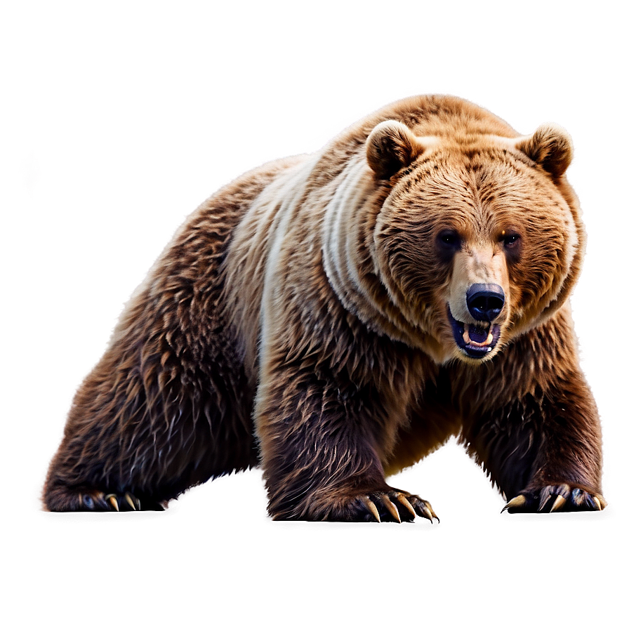 Angry Bear Png 15