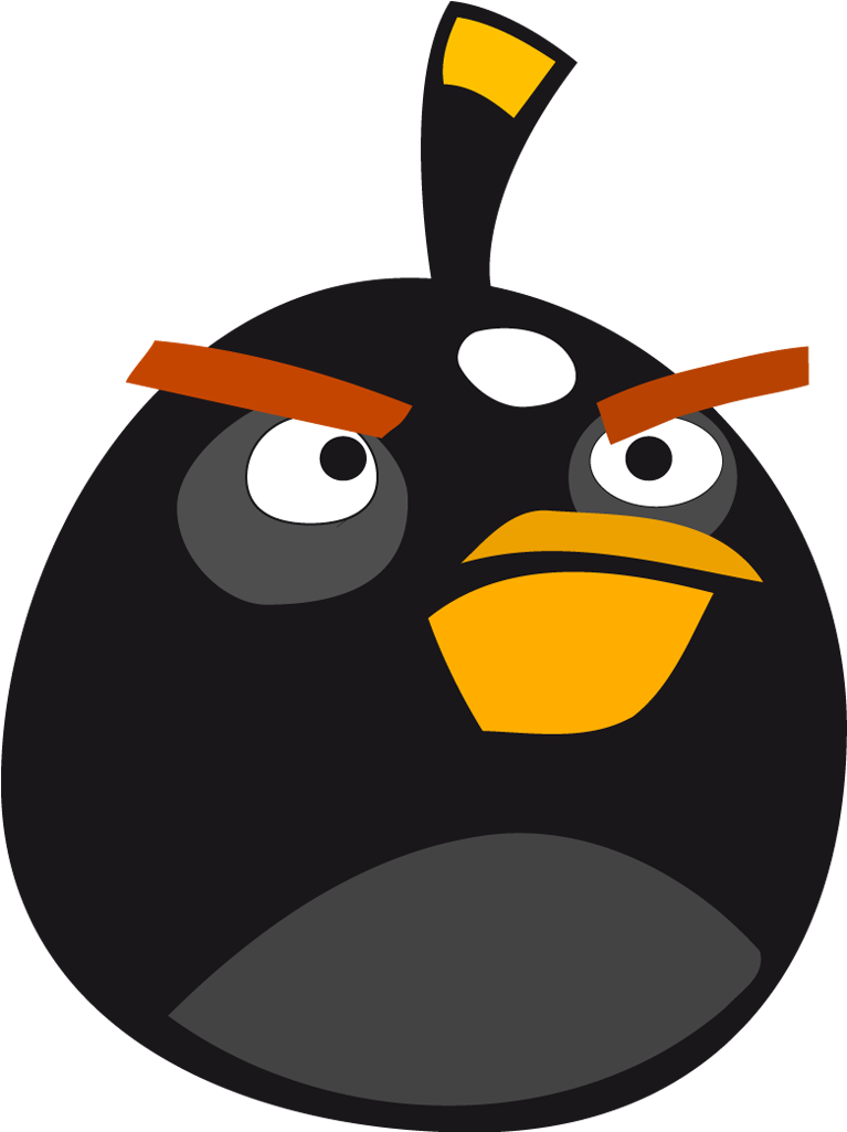 Angry Bird Black Character Illustration