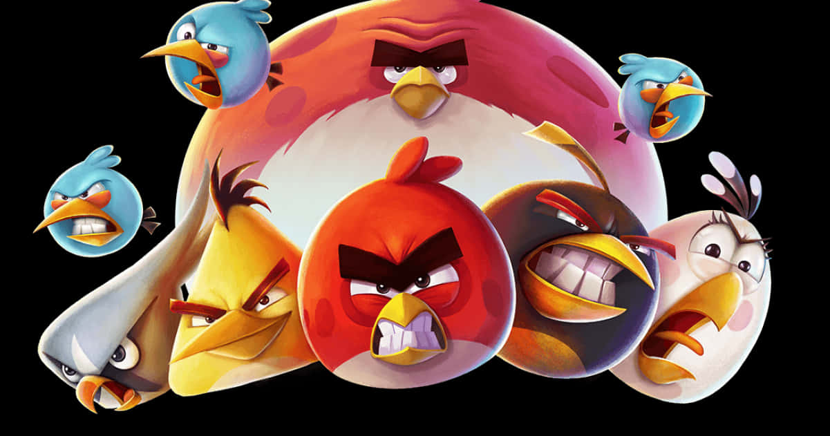 Angry Birds Character Collage