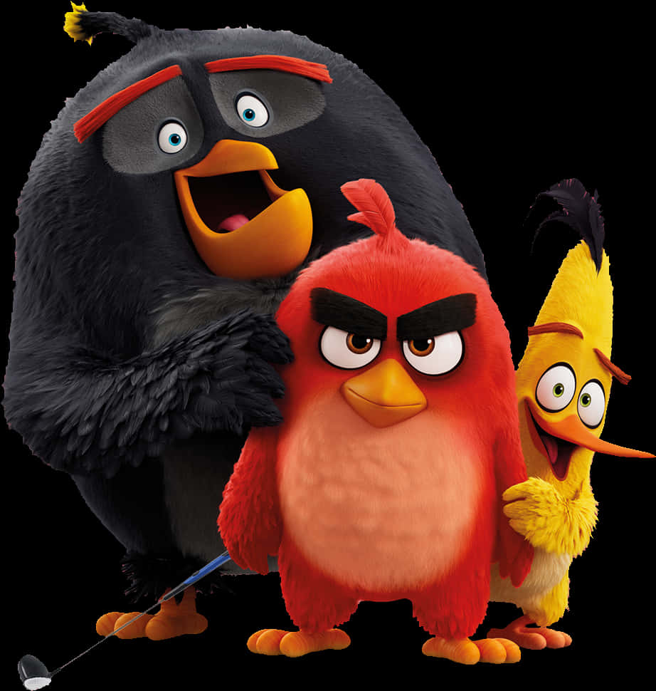 Angry Birds Characters Group