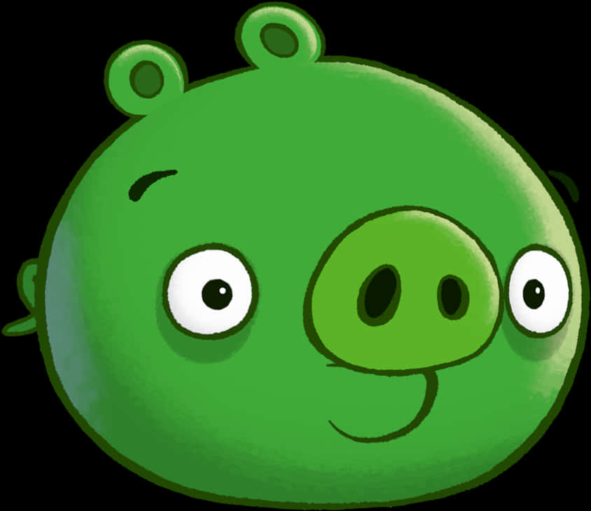 Angry Birds Green Pig Character