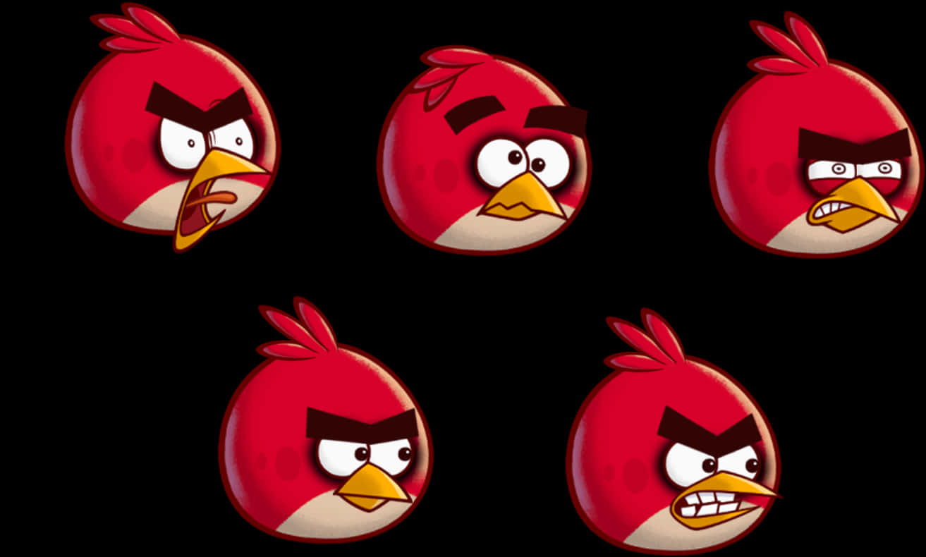 Angry Birds Red Character Expressions