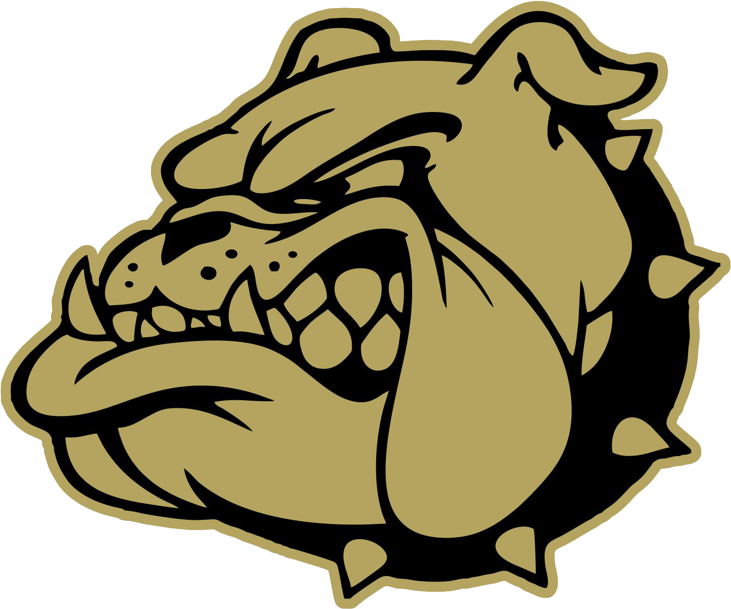 Angry Bulldog Graphic PNG with transparent background