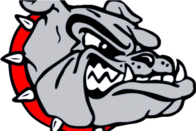 Angry Bulldog Graphic PNG with transparent background