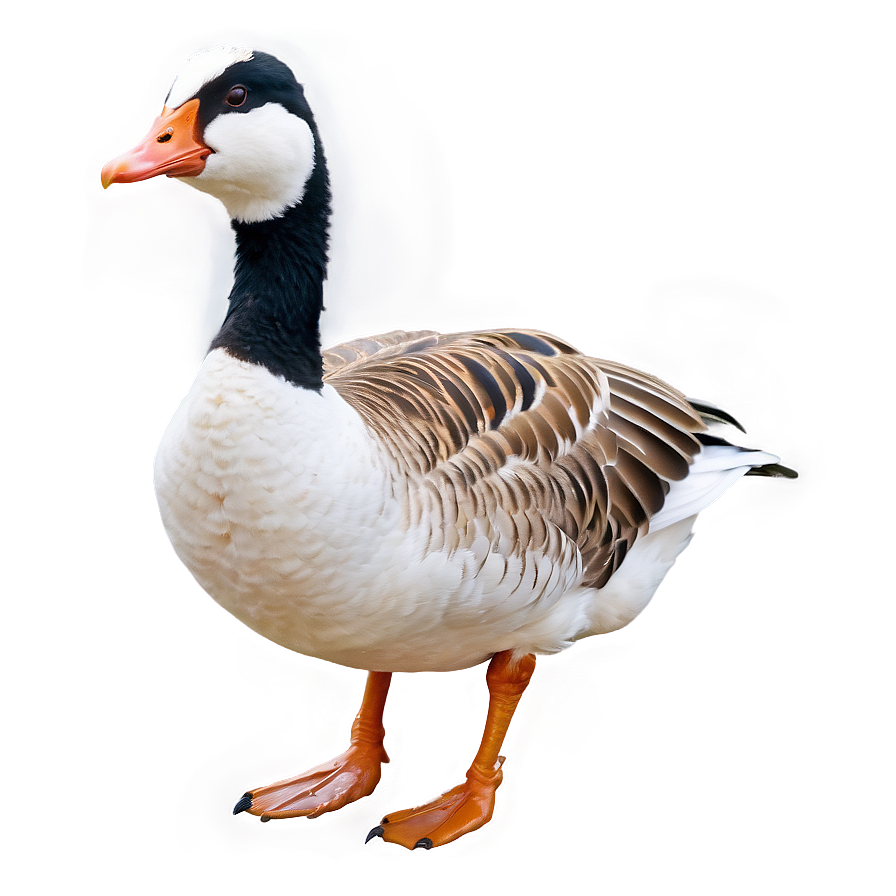 Angry Goose Expression Png Luj69