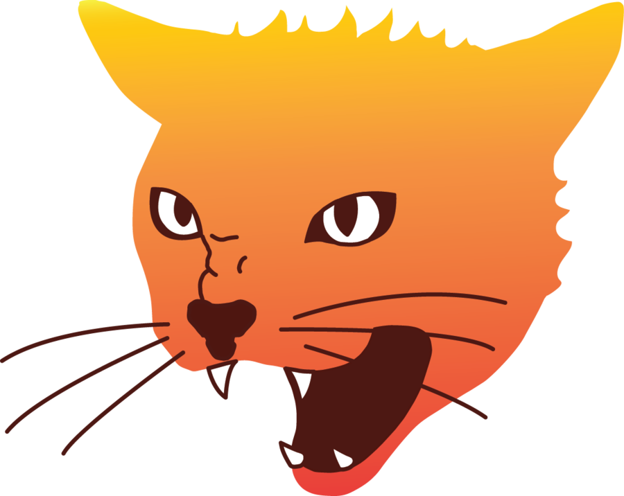Angry Cat Png Image - Angry Cat Face Png, Transparent Png PNG with transparent background