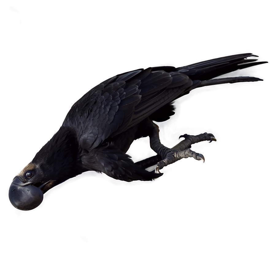 Angry Raven Png Irx