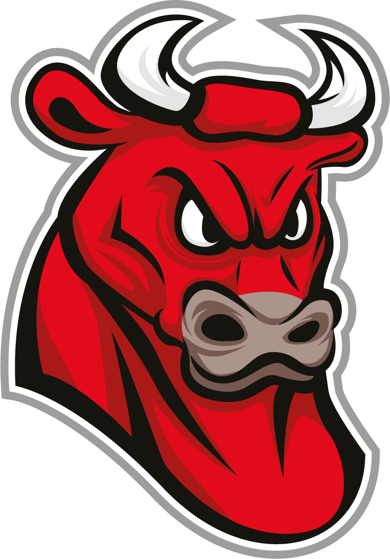 Taurus Png - Bull Png Kangayam, Transparent Png PNG with transparent background