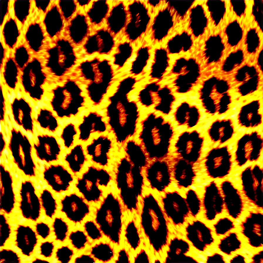 Animal Print Clipart PNG 06252024 896x896 PNG image with a transparent background, free high-resolution download