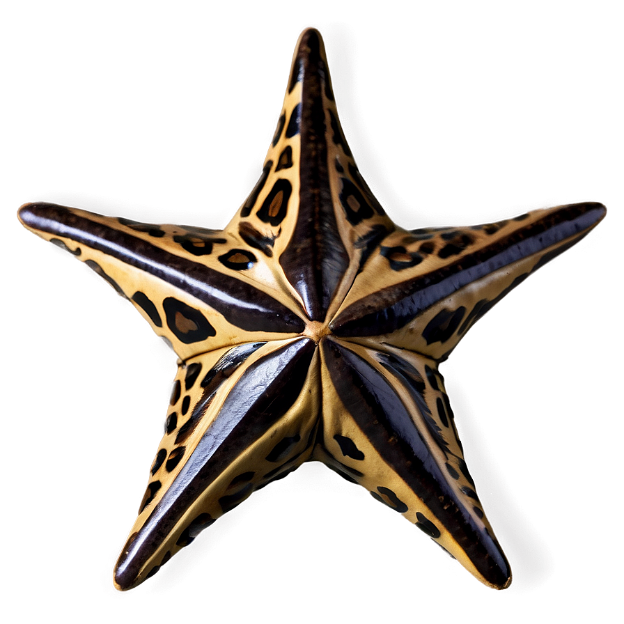 Animal Print Star Png 59