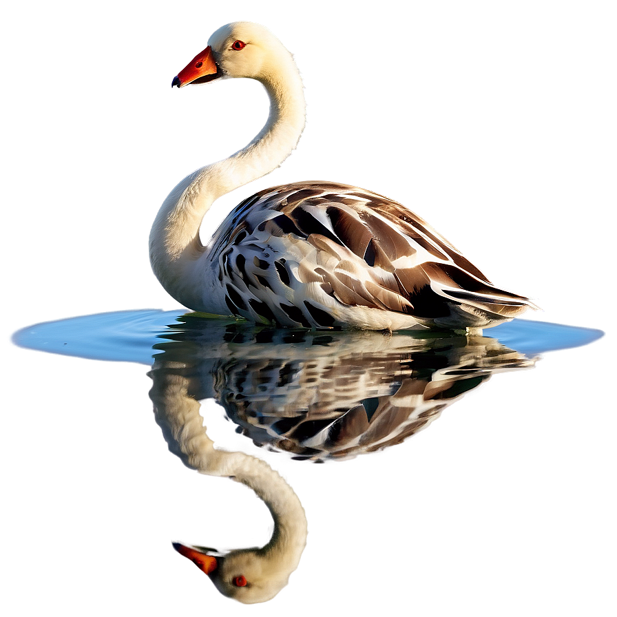 Animal Reflection Png Cgu91