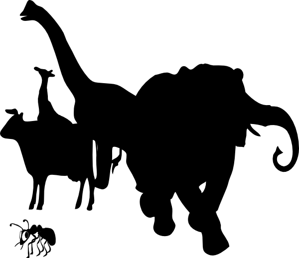 Animals Silhouette Clip - Animals Silhouette Png PNG with transparent background