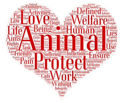 Animal Welfare Word Cloud PNG with transparent background