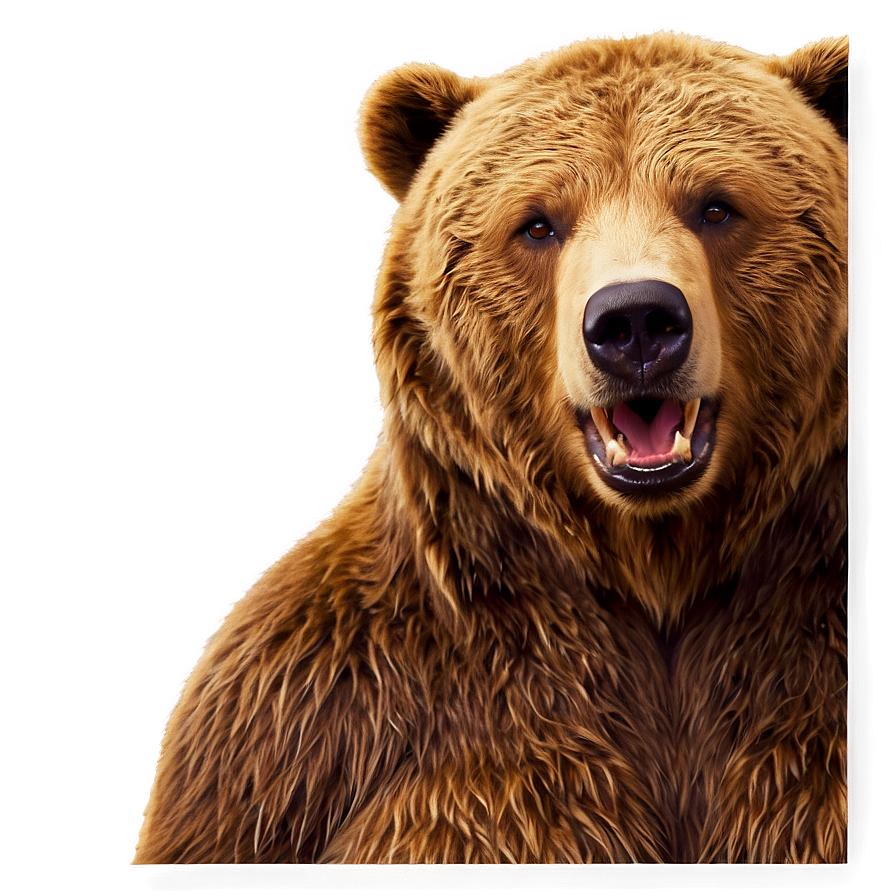 Animated Bear Face Png 06292024