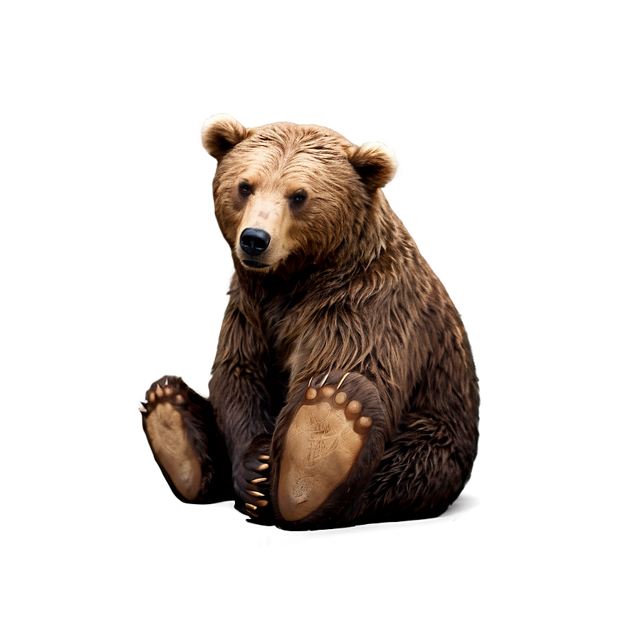 Animated Bear Png 29