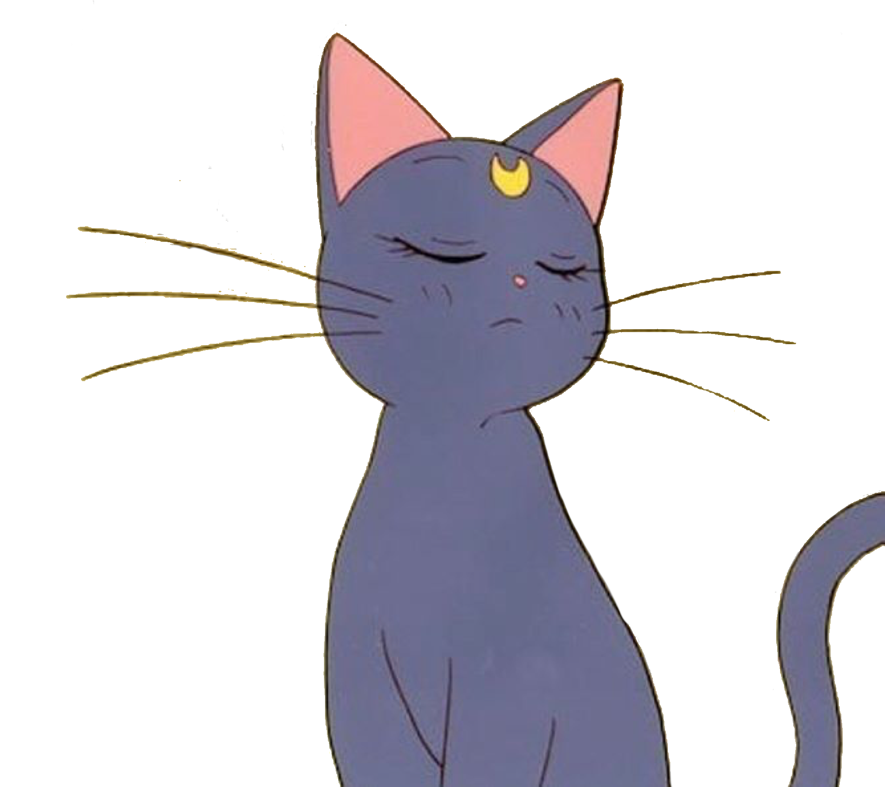 Black-cat - Sailor Moon Cat Transparent, HD Png Download PNG with transparent background