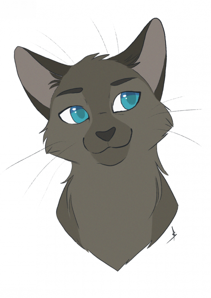 Animated Blue Eyed Cat Sketch.png