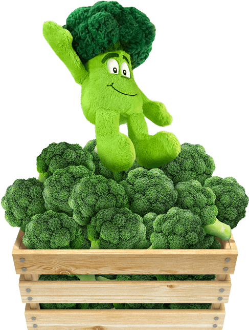 Broccoli Png, Transparent Png PNG with transparent background