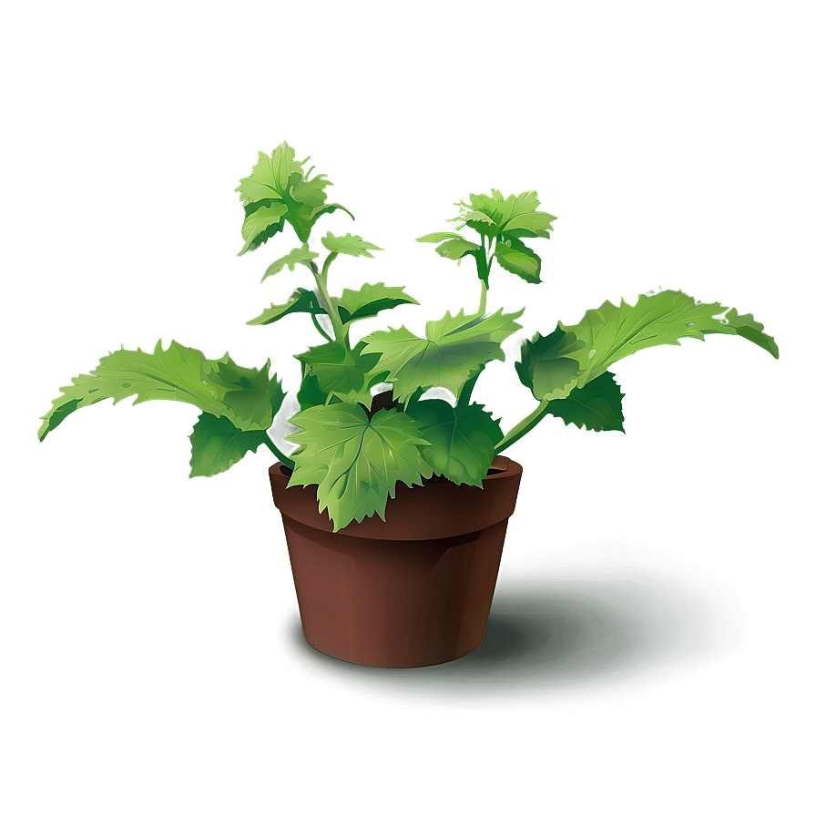 Animated Catnip Plant Png 59