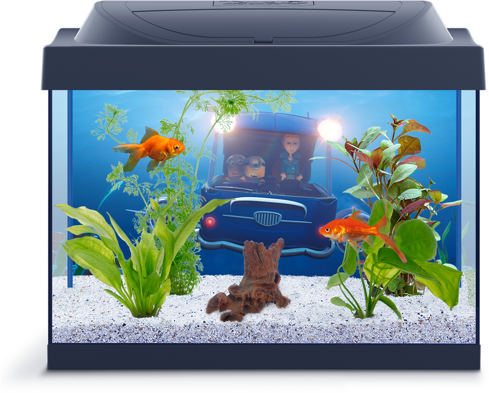 Aquarium Png, Transparent Png PNG with transparent background