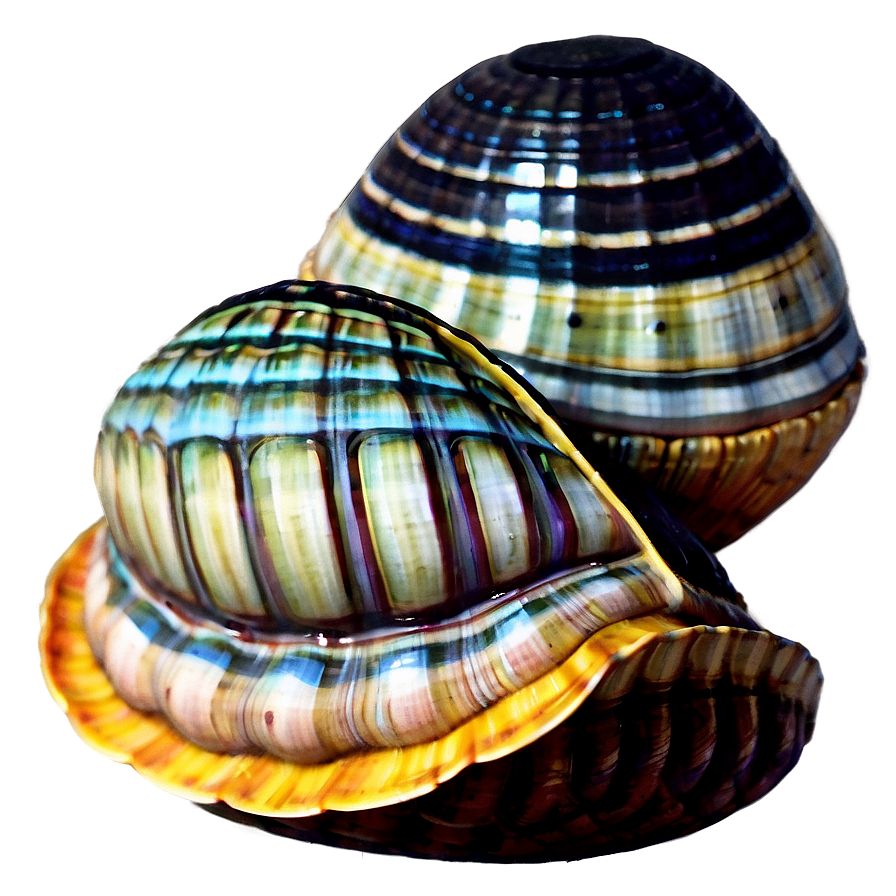 Animated Clam Character PNG 05242024 PNG with transparent background