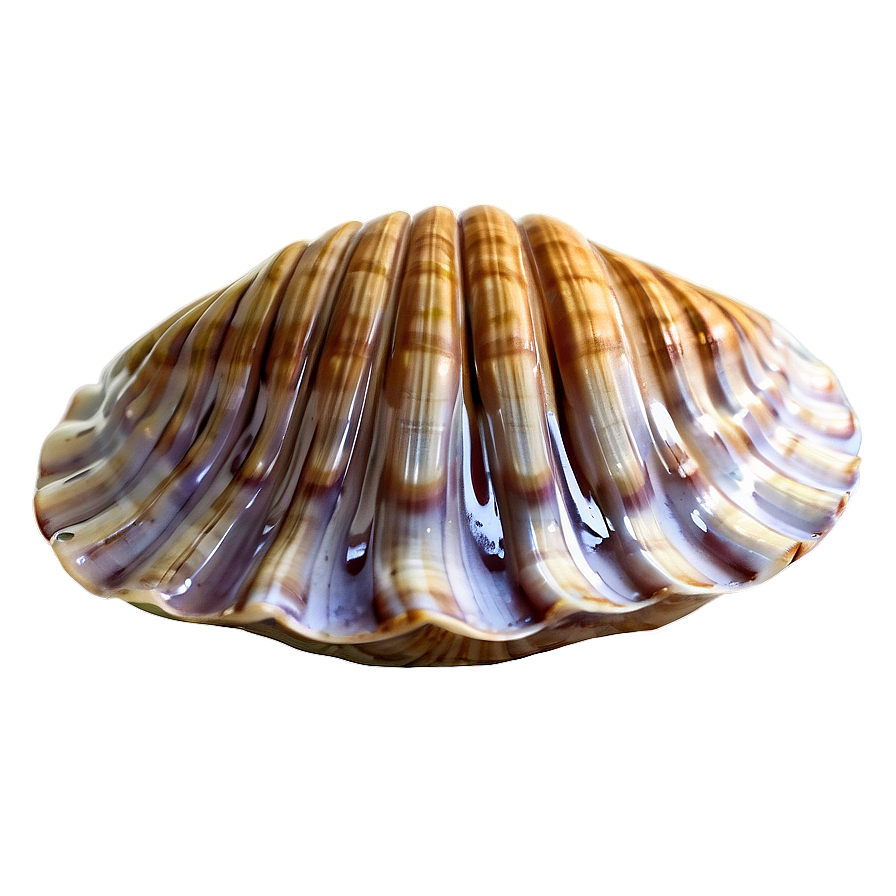 Animated Clam Character PNG 05242024 PNG with transparent background