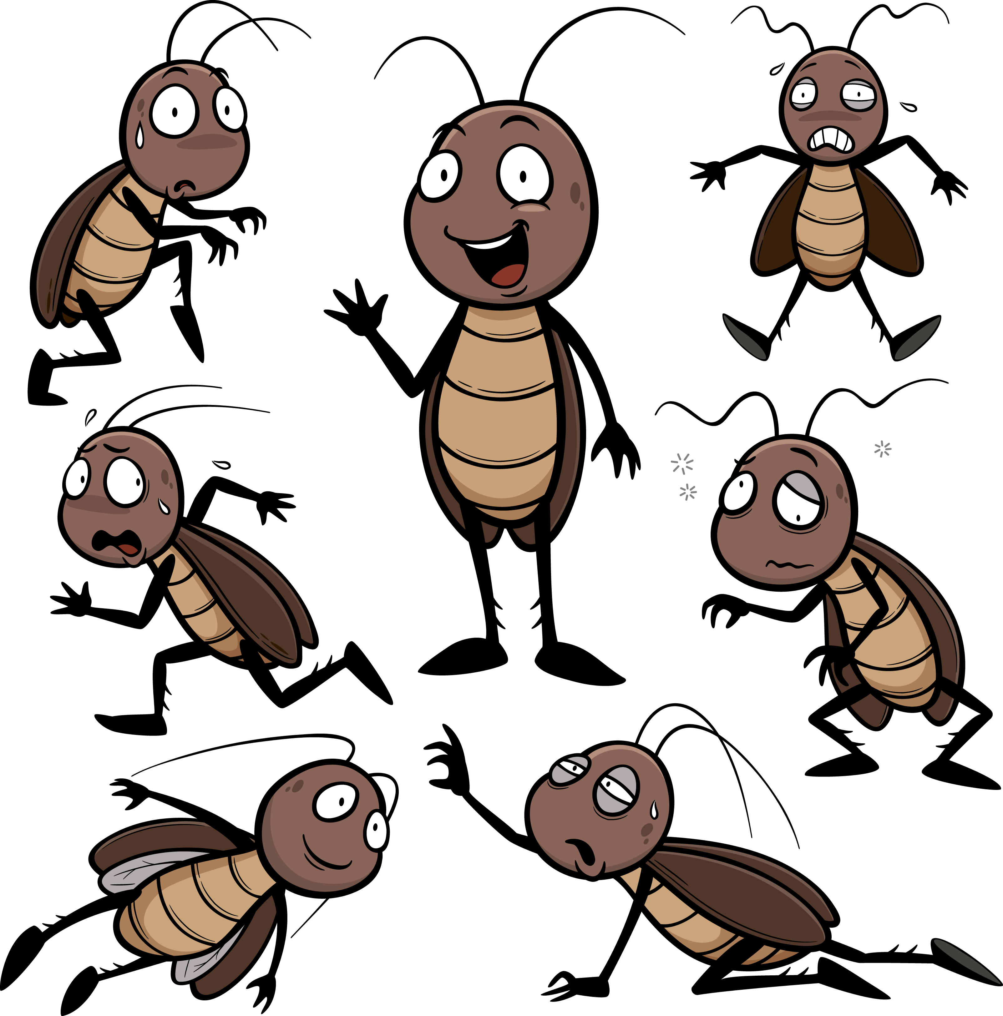 Animated Cockroach Expressions PNG image with a transparent background, free high-resolution download