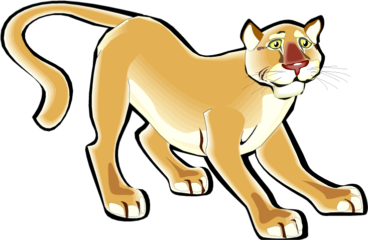 Animated Cougar Walking