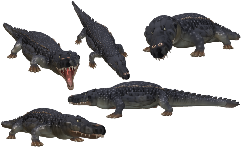 Saltwater Crocodile Png Photo - Spore Crocodile, Transparent Png PNG with transparent background