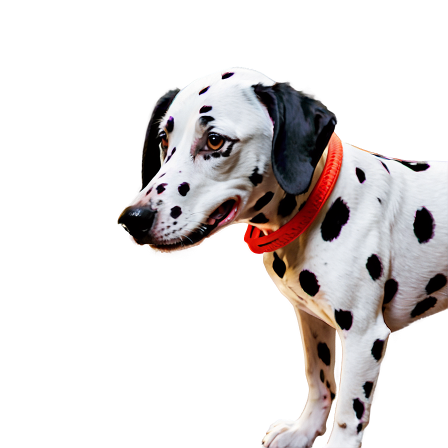 Animated Dalmatian Character Png Uwk34