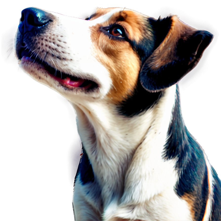 Animated Dog Head Graphic PNG pon72 PNG image with a transparent background, free high-resolution download