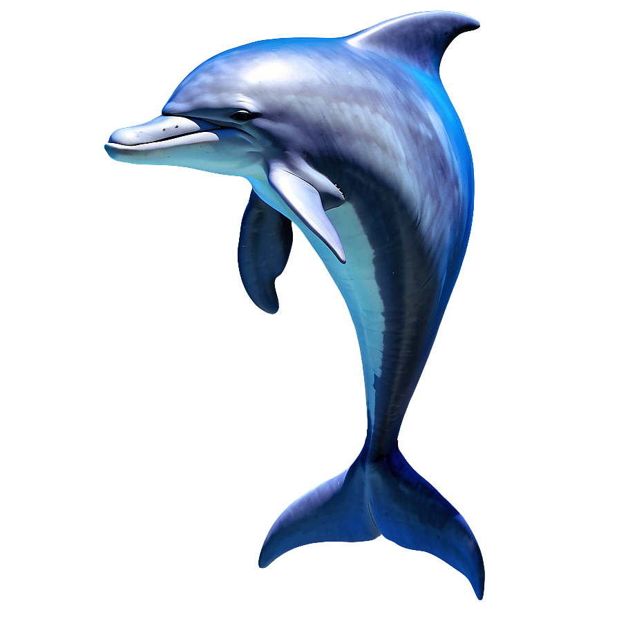 Animated Dolphins Png 06112024