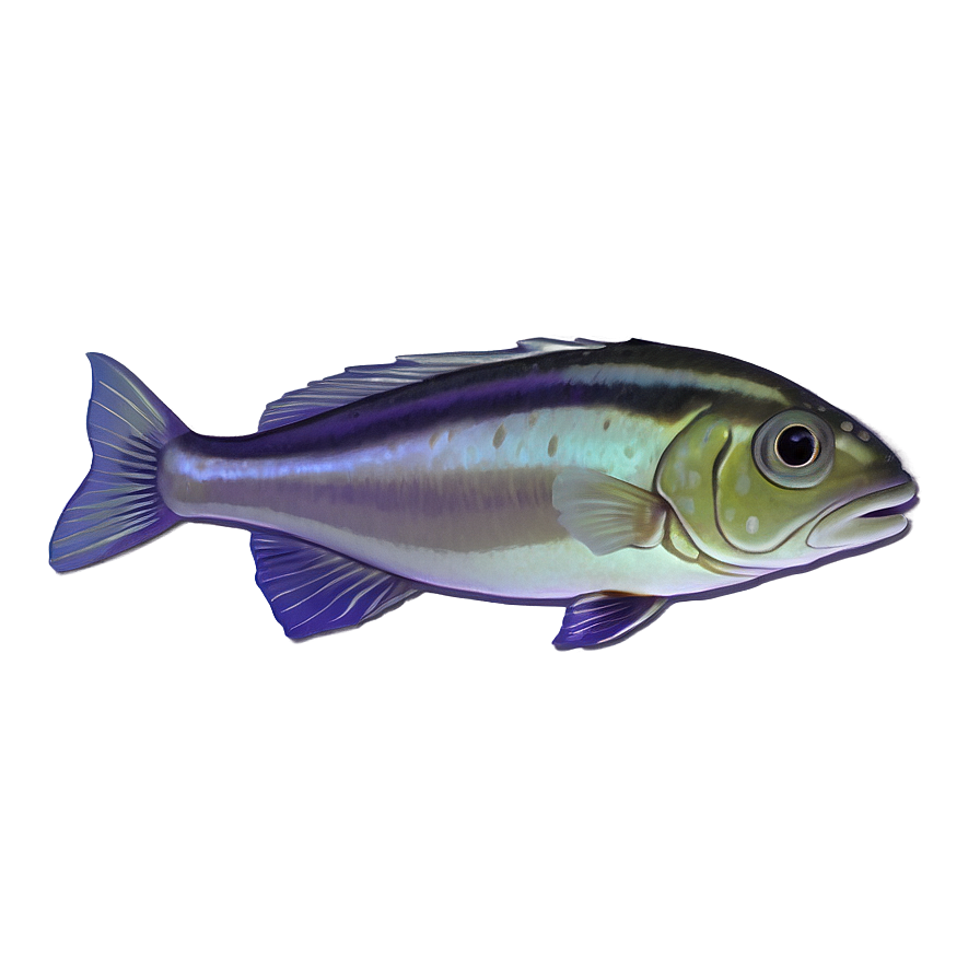 Animated Fish Png 04292024