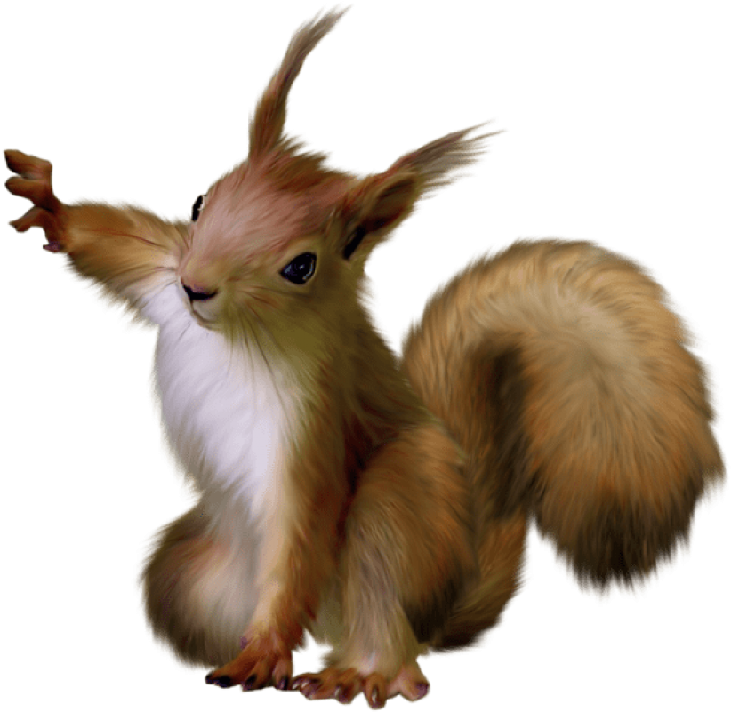 Animated Fluffy Squirrel Illustration PNG with transparent background