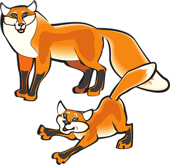 Animated Foxes Illustration