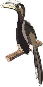 Animated Hornbill Perchedon Branch