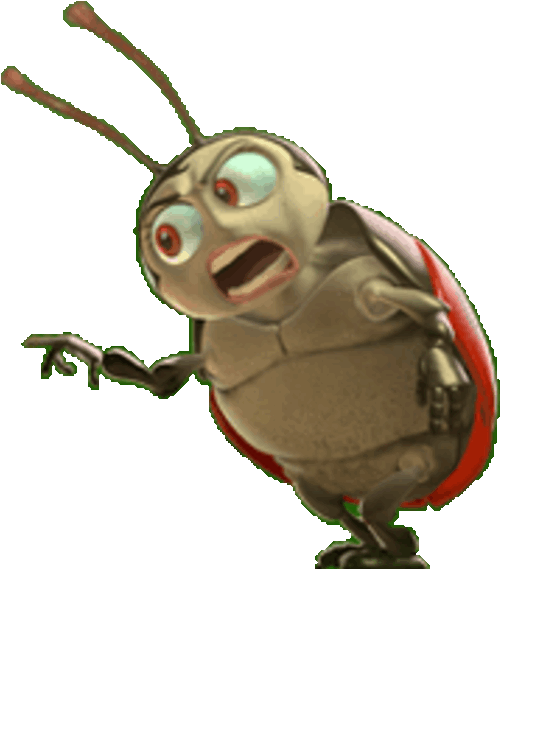 Animated Ladybug Character