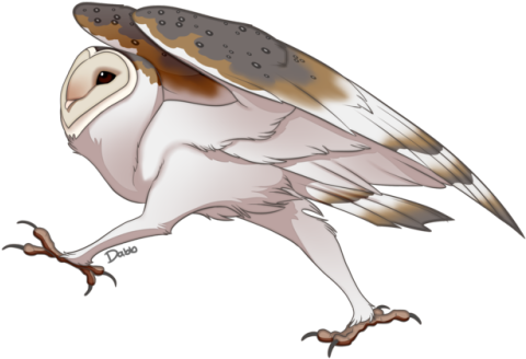 Have You Every Seen An Owl Run - Running Owl PNG with transparent background