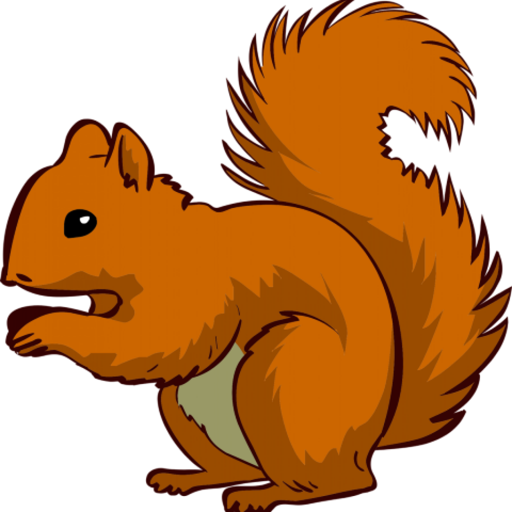 Animated Red Squirrel Illustration.png