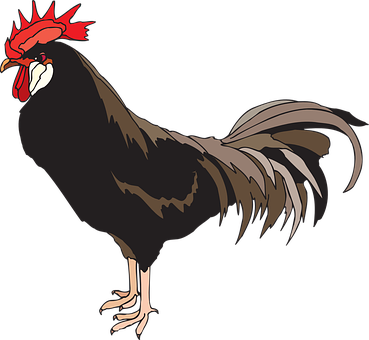 Animated Rooster Profile PNG with transparent background