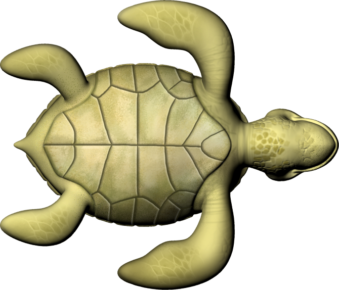 Animated Sea Turtle Graphic