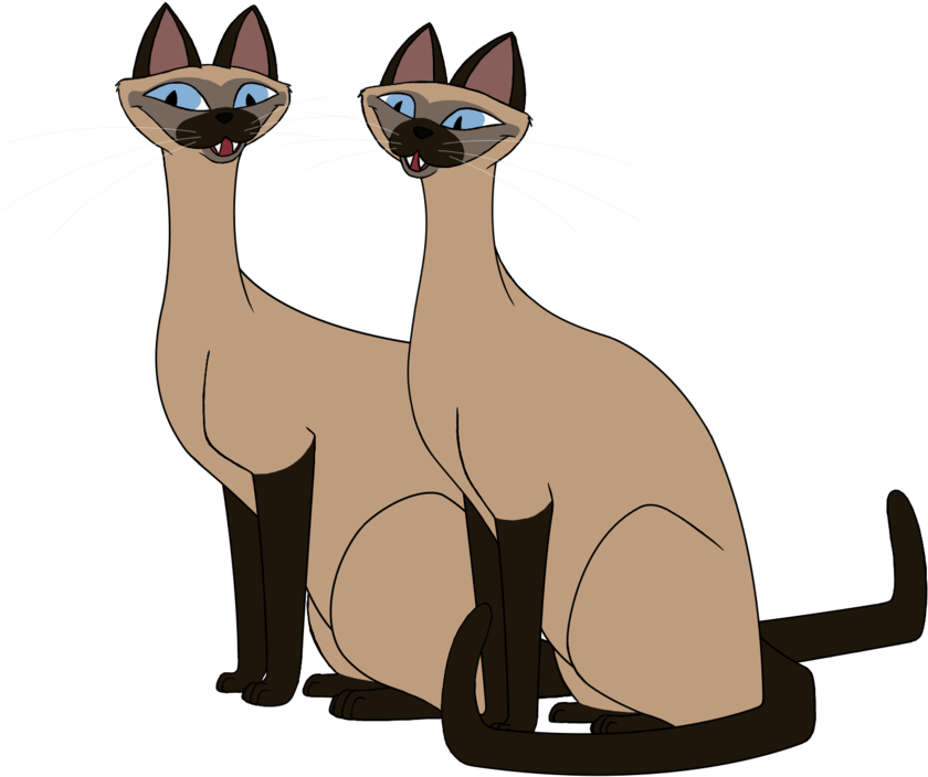 Animated Siamese Cats Illustration