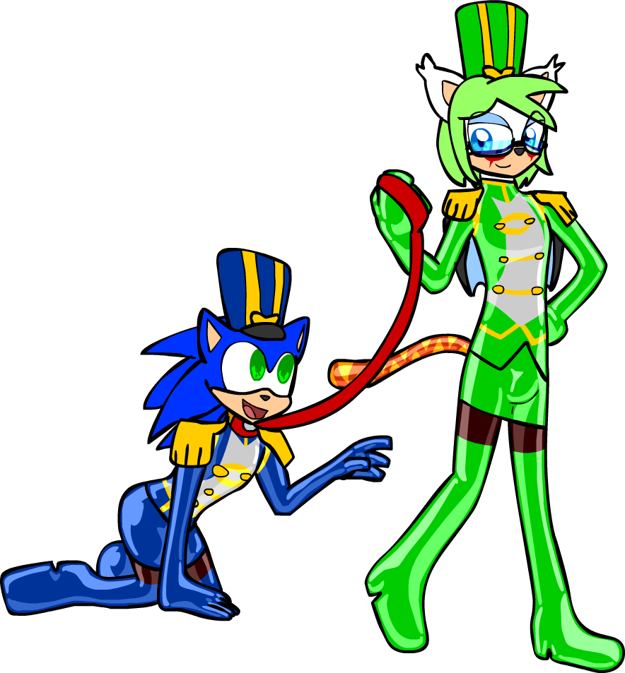 Animated Sonicand Green Character Costumes