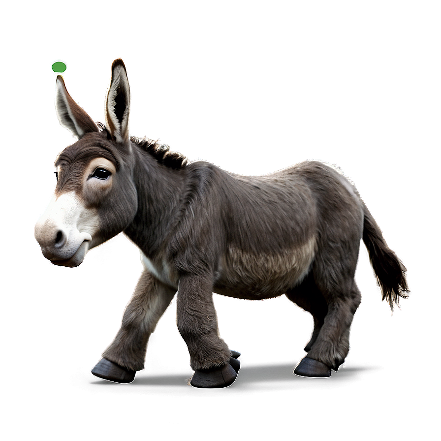 Animated Walking Donkey Png Hjp