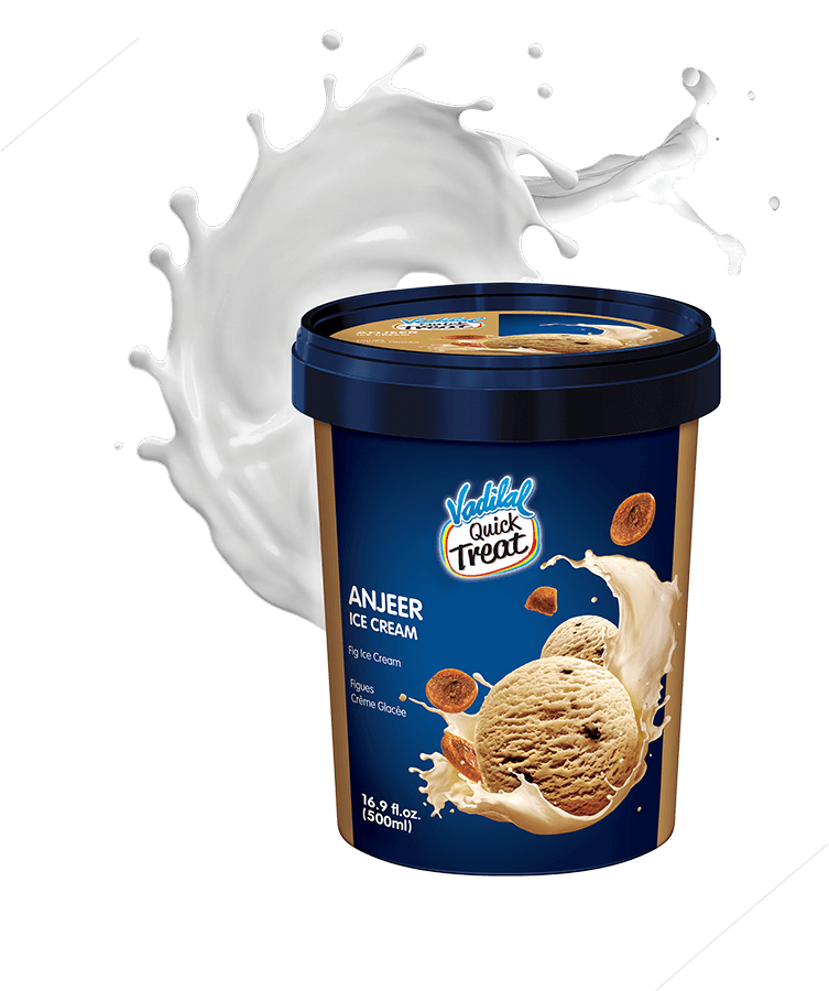 Anjeer Ice Cream Container Splash