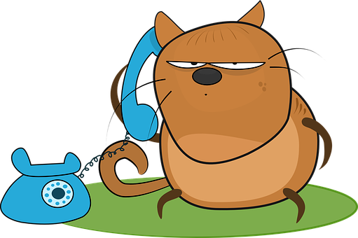 Annoyed Cartoon Cat With Phone