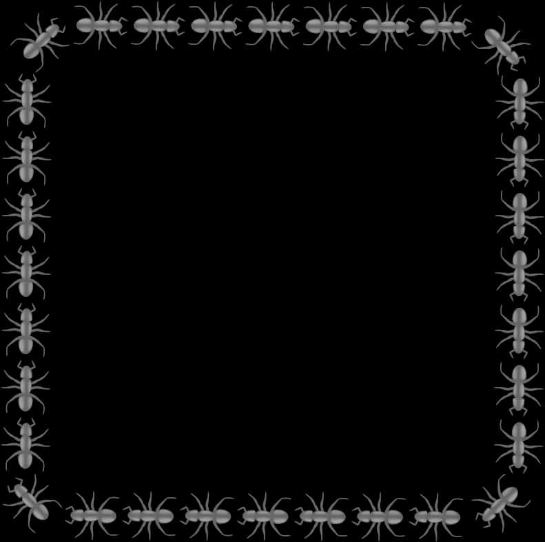 Ant Decorated Black Border