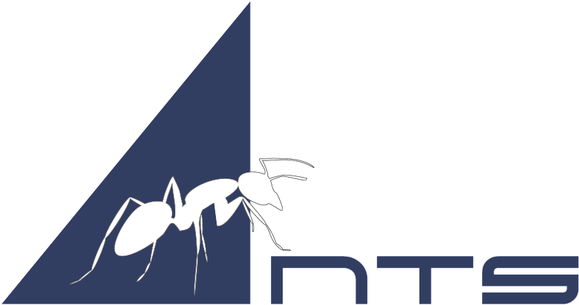 Ant Logo Graphic Design